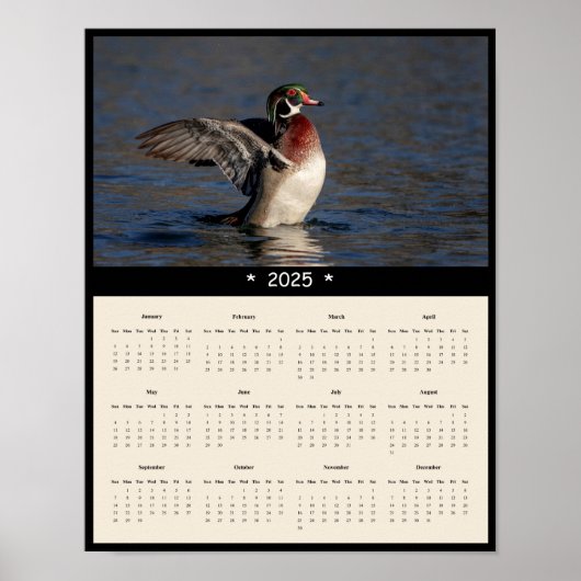 2025 Wood Duck Drake Wall Calendarポスター ポスター (正面)