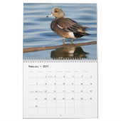 2026アヒル写真ウォールカレンダー カレンダー (2月 2027)
