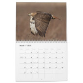 2026ハドソン渓谷の赤尾のタカ カレンダー (3月 2026)