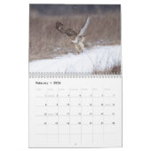 2026ハドソン渓谷の赤尾のタカ カレンダー (2月 2026)