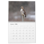 2026ハドソン渓谷の赤尾のタカ カレンダー (1月 2026)