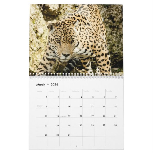 2026ヒョウ カレンダー (3月 2026)