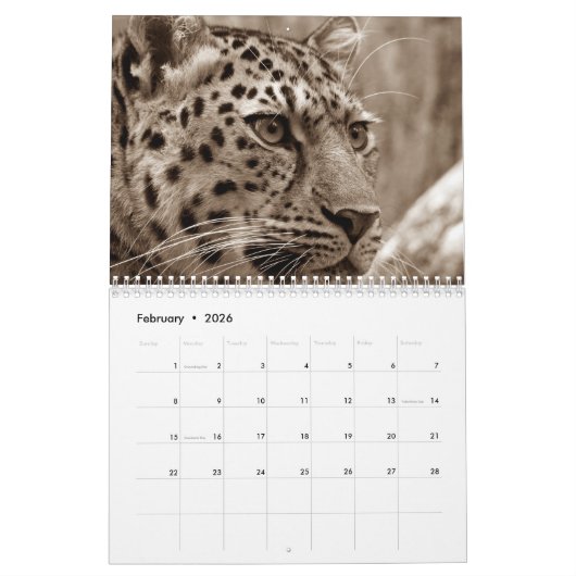 2026ヒョウ カレンダー (2月 2026)