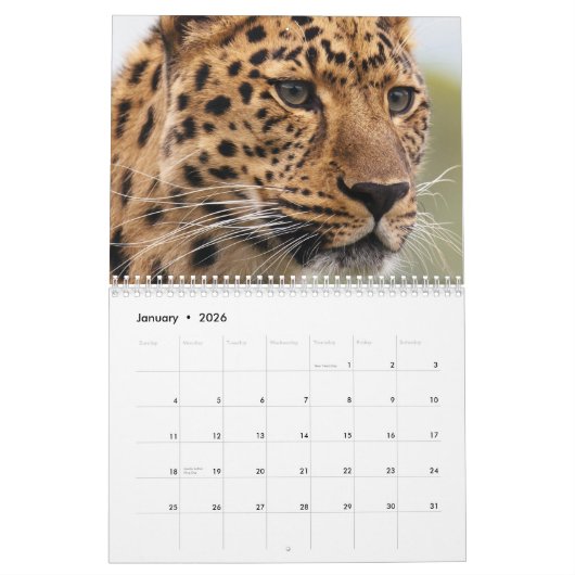 2026ヒョウ カレンダー (1月 2026)