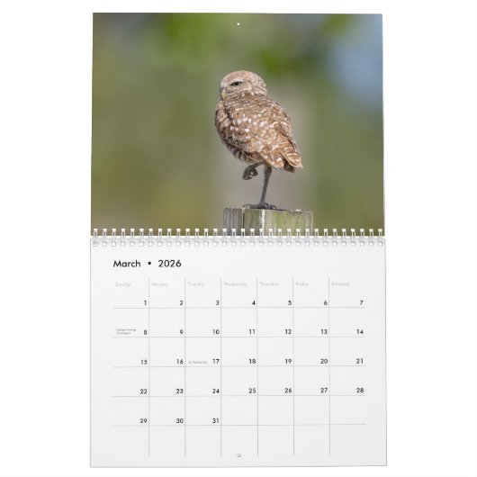 2026フロリダの穴掘りフクロウ カレンダー (3月 2026)