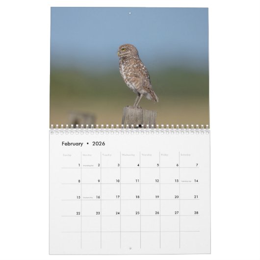 2026フロリダの穴掘りフクロウ カレンダー (2月 2026)