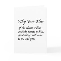 2026年に青で投票する理由