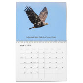 2026年のアディロンダックスカレンダーの野生生物 カレンダー (3月 2026)