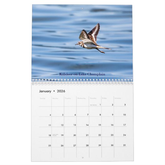 2026年のアディロンダックスカレンダーの野生生物 カレンダー (1月 2026)