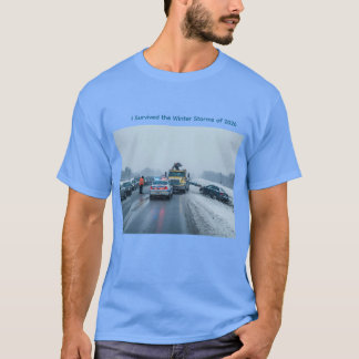 2026年の冬の嵐を乗り越えた Tシャツ