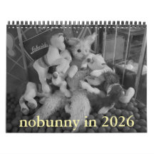 2026年カレンダー回顧録エディションのnobunny
