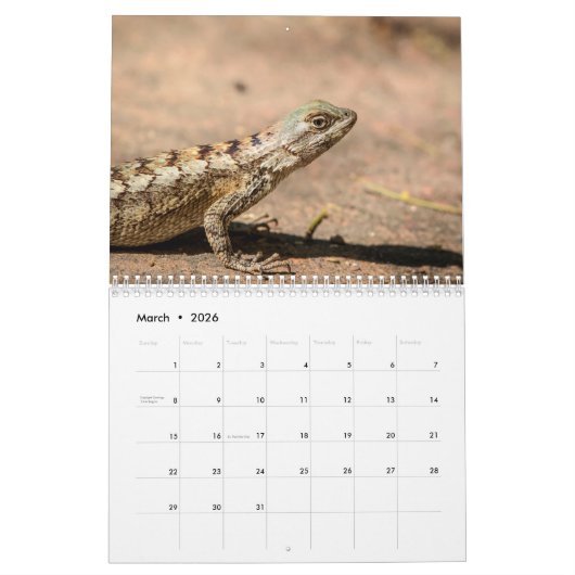 2026年テキサス州南部の野生生物 カレンダー (3月 2026)