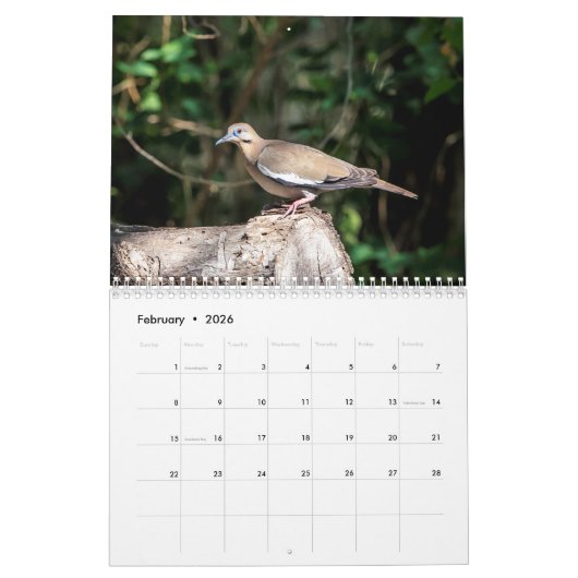 2026年テキサス州南部の野生生物 カレンダー (2月 2026)