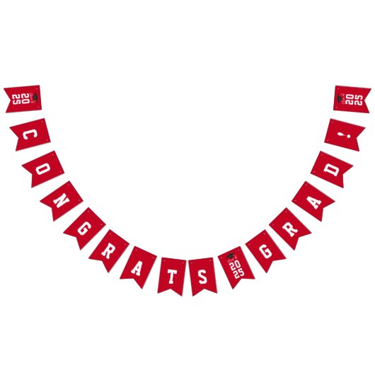 2026年度卒業おめでとう 赤白 バンティングフラッグ (全)