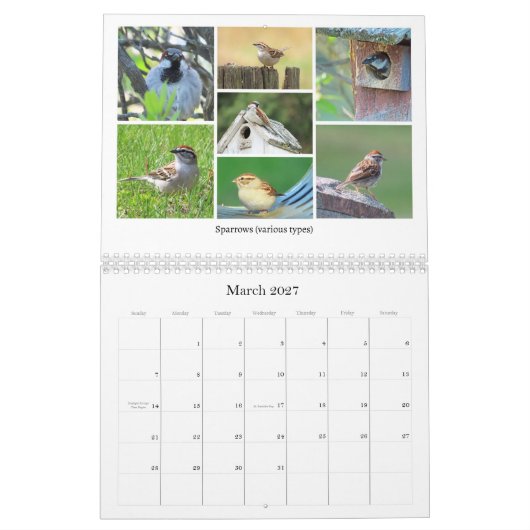 2026年裏庭の鳥観察カレンダー カレンダー (3月 2027)
