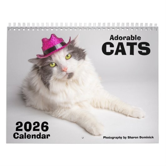 2026年 かわいい猫のカレンダー 写真 カレンダー (カバー)