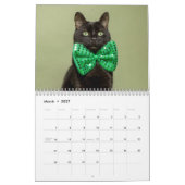 2026年 かわいい猫のカレンダー 写真 カレンダー (3月 2027)