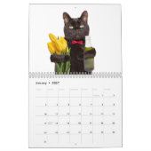 2026年 かわいい猫のカレンダー 写真 カレンダー (1月 2027)