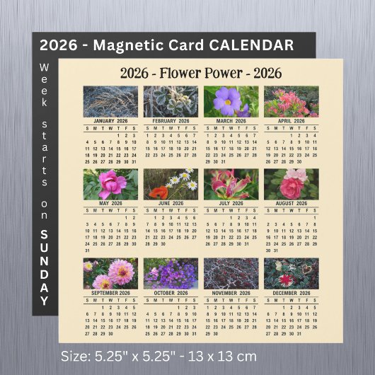 2026年 オリジナル 花 マグネットアプリコット カレンダー SU