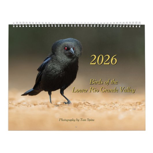 2026年 - テキサス州リオグランデバレー下流域の鳥カレンダ カレンダー (カバー)