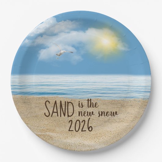 2026年 海辺のカモメ ペーパープレート (正面)