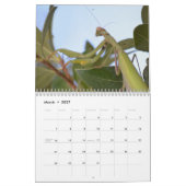 2026昆虫と爬虫類カレンダー カレンダー (3月 2027)