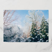 2026最高の年初のお金ゴールドを楽しみたいモダン 箔シーズンカード (裏面)