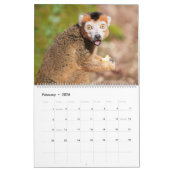 2026霊長類 – モンキーズ&レッサーエイプコレクション カレンダー (2月 2026)