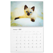 2026 かわいい子猫 赤ちゃん猫 愛好家 ギフト 子猫 猫 カレンダー (1月 2027)