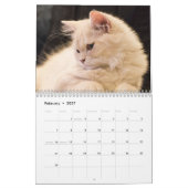 2026 かわいい猫の種類の写真 - 猫好きのためのカレンダー カレンダー (2月 2027)