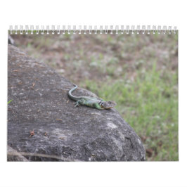 2026  カレンダー