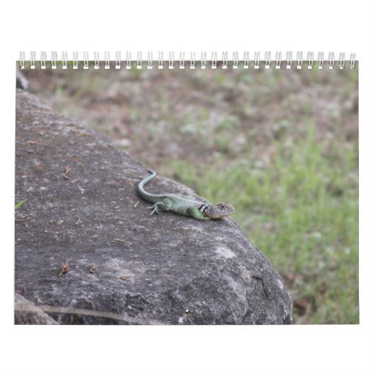 2026  カレンダー (カバー)