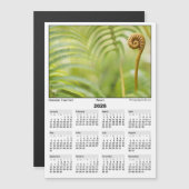 2026 5x7 Magnet Calendar Amau Hawaiian Fern (正面/裏面)