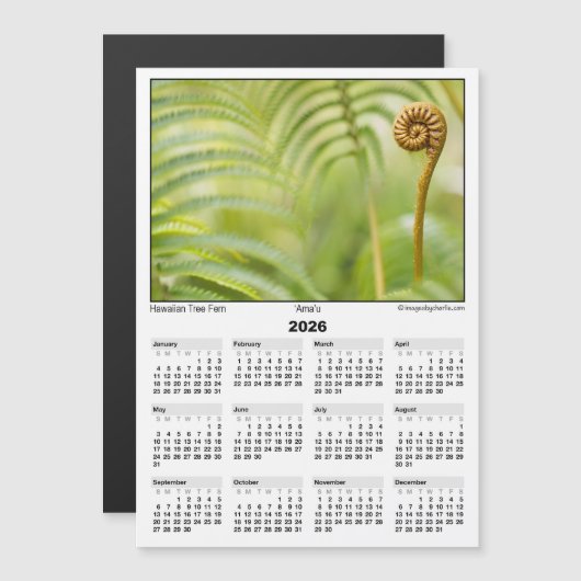 2026 5x7 Magnet Calendar Amau Hawaiian Fern (正面/裏面)