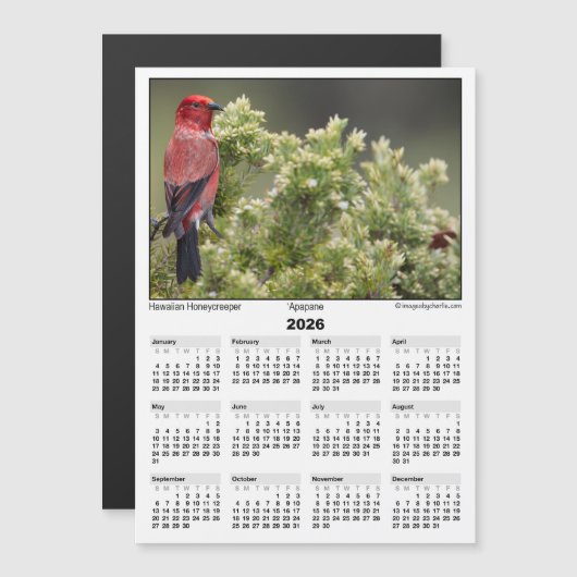 2026 5x7 Magnet Calendar Apapane Hawaiian Bird (正面/裏面)