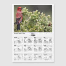 2026 5x7 Magnet Calendar Apapane Hawaiian Bird