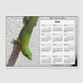 2026 5x7 Magnet Calendar Gold Dust Day Gecko (正面)