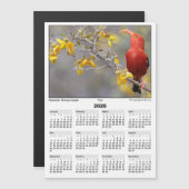 2026 5x7 Magnet Calendar Iiwi HawaiianHoneycreeper (正面/裏面)