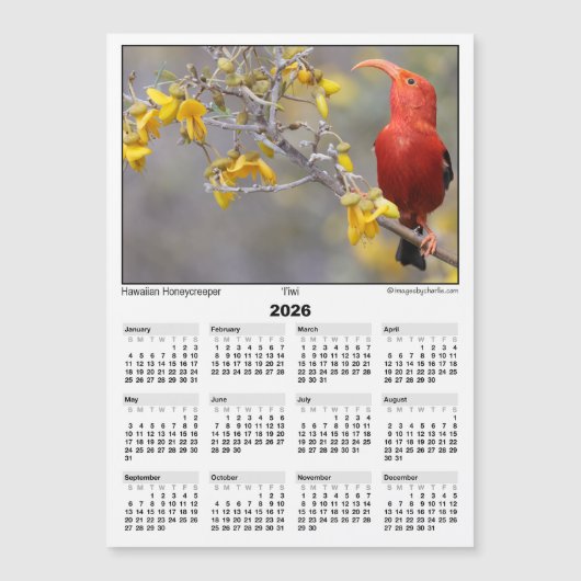 2026 5x7 Magnet Calendar Iiwi HawaiianHoneycreeper (正面)