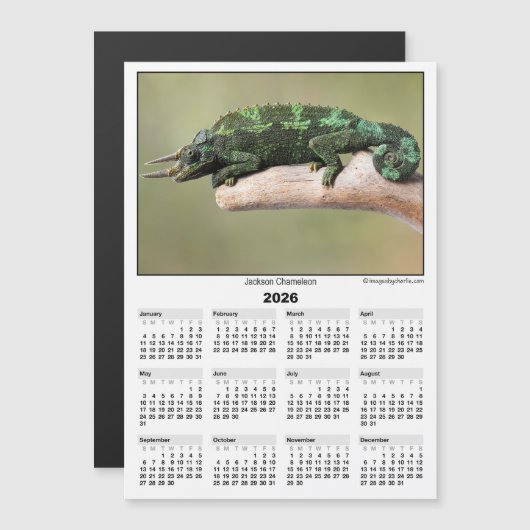 2026 5x7 Magnet Calendar Jackson Chameleon (正面/裏面)