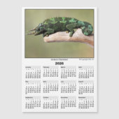 2026 5x7 Magnet Calendar Jackson Chameleon (正面)
