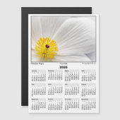 2026 5x7 Magnet Calendar Pua Kala Hawaiian Poppy (正面/裏面)