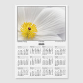 2026 5x7 Magnet Calendar Pua Kala Hawaiian Poppy (正面)