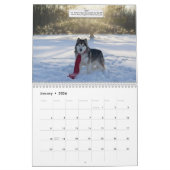 2026 Alaskan Malamute Club of America Calendar カレンダー (1月 2026)