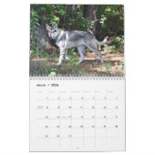 2026 American Northern Inuit Society Calendar カレンダー (3月 2026)