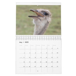 2026 Animal Calendar カレンダー