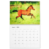 2026  Arabian Horse Lover Gift Watercolor Painting カレンダー (3月 2026)
