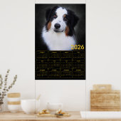 2026 Australian Shepherd Calendar  ポスター (キッチン)