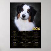 2026 Australian Shepherd Calendar  ポスター (正面)
