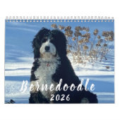 2026 Bernedoodle photo Calendar カレンダー (カバー)
